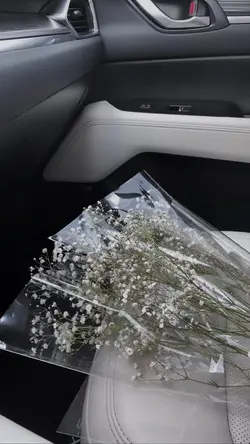 sungguh aku tak bisa