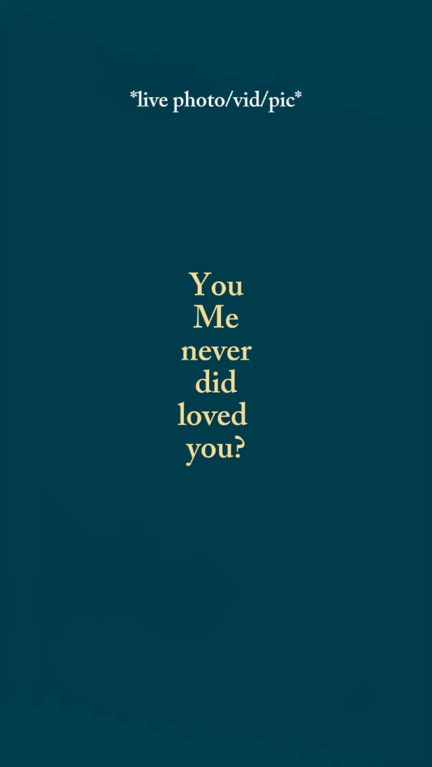 neverdidlovedyou