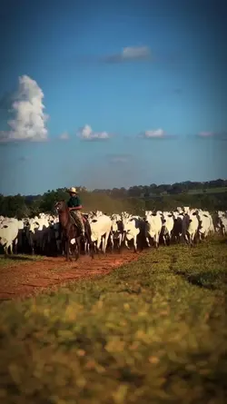 Agro