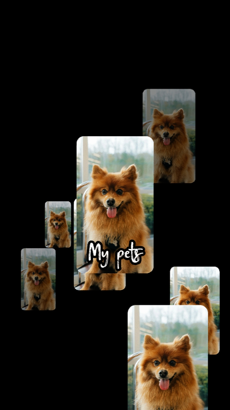 Mis mascotas 