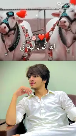 qurbani eid