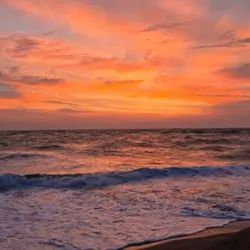 forever my therapist