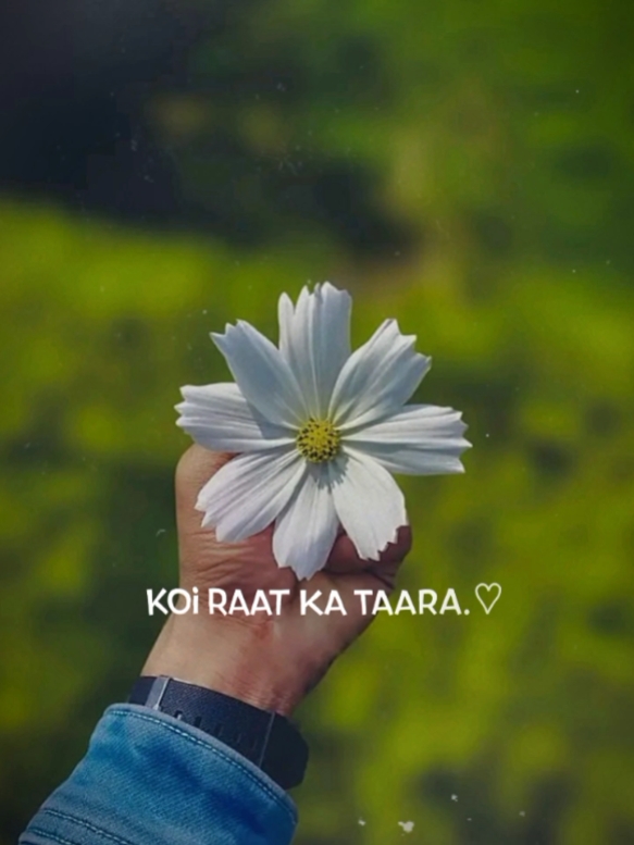 Feel this song