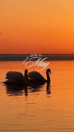 first vlog in may 