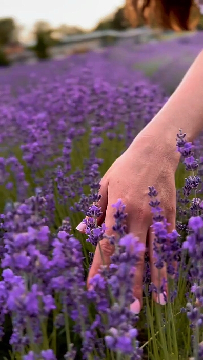 Primavera 2026