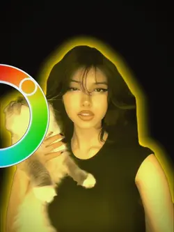 Color wheel trend