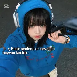 Köpek.