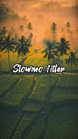 Slowmo x filter 