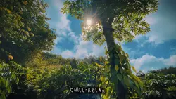 Chill-Relax
