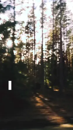 Sverige är så fint
