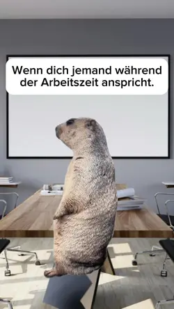 Arbeitsmeme #010