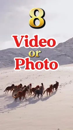 8 video or photo 