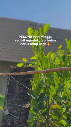 harus tetap kerja