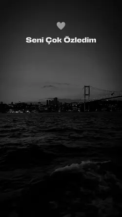 Seni Çok Özledim 