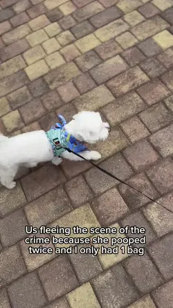 Left the crime scene