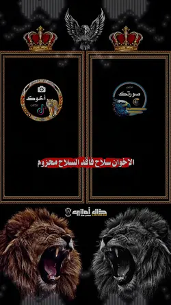 الاخوان سلاح 