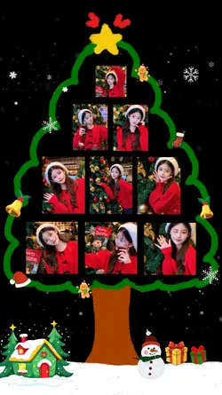 Cรขy Thรดng Noel