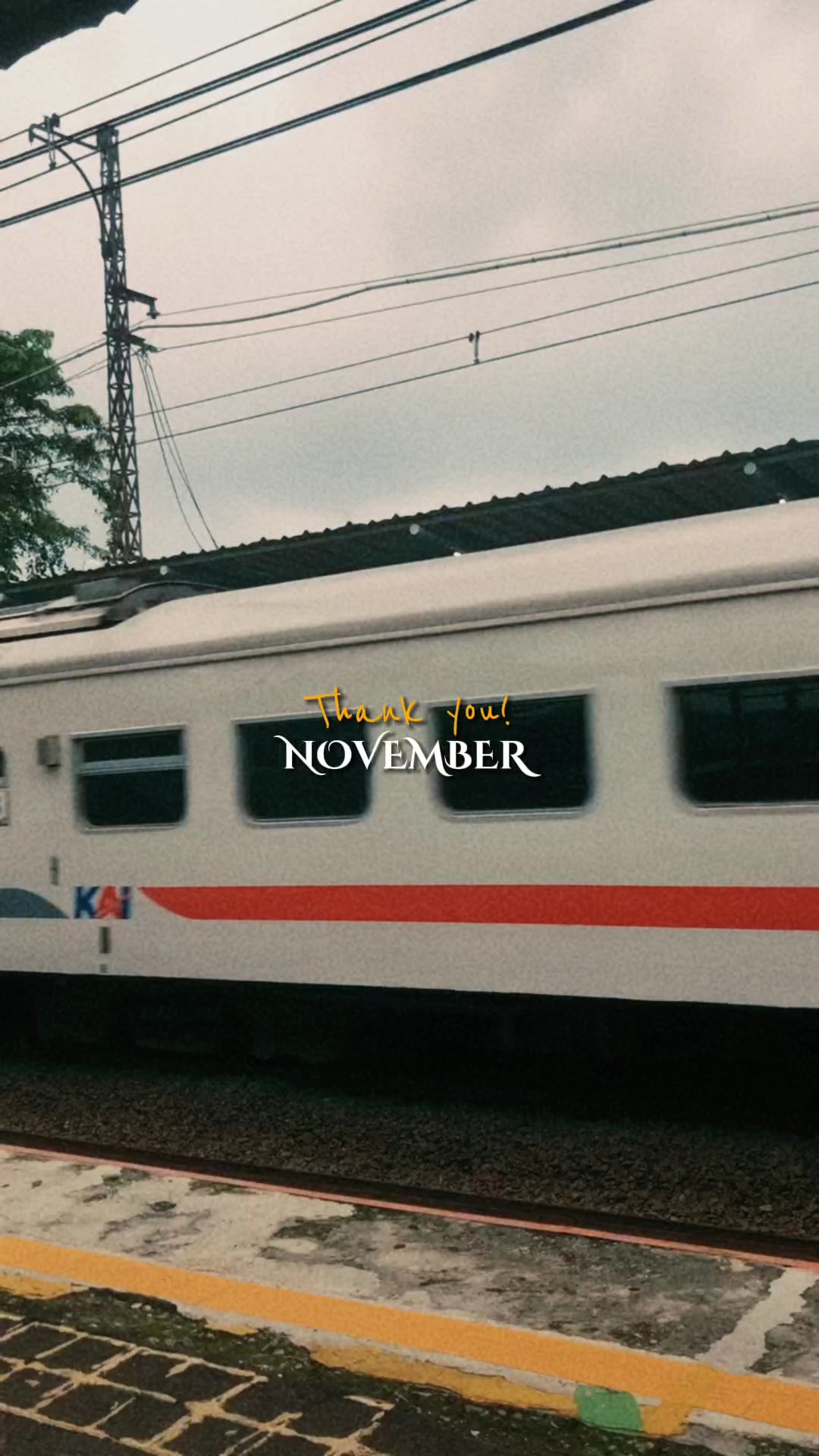 Obrigado novembro 