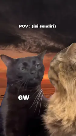 MEME KUCING VIRAL