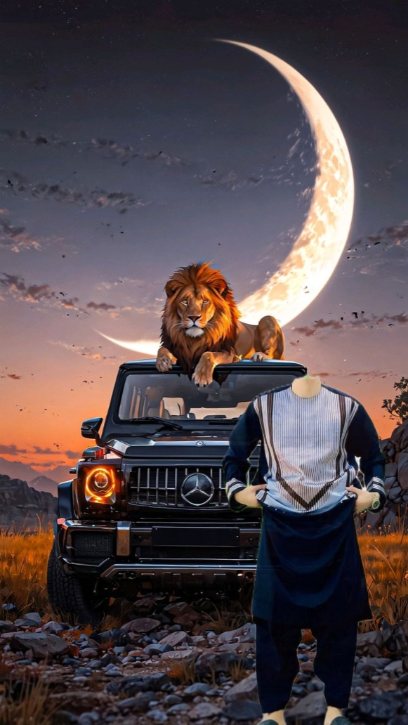 Cover Picture