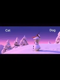 Cat or Dog?