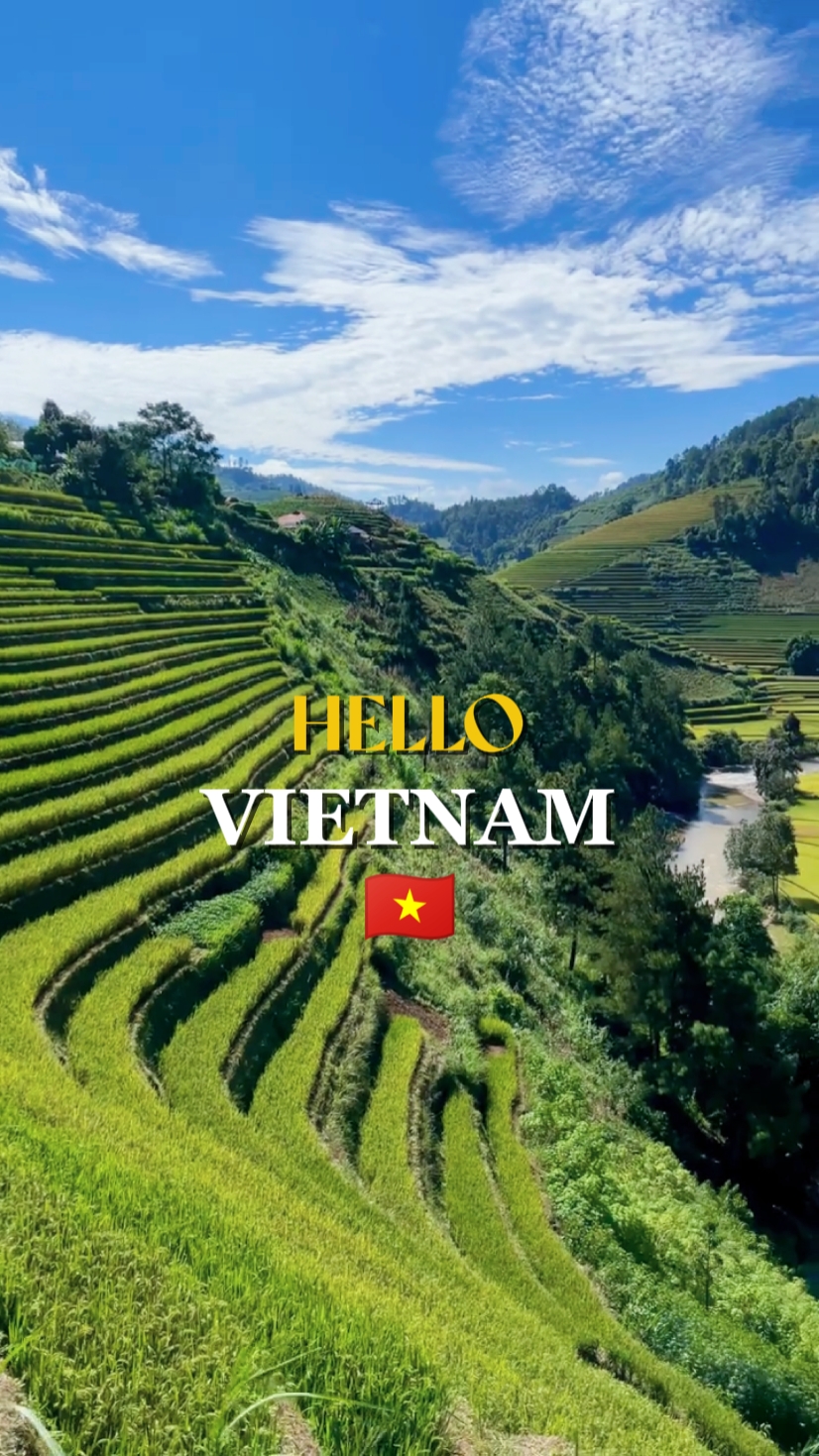 Hello vietnam