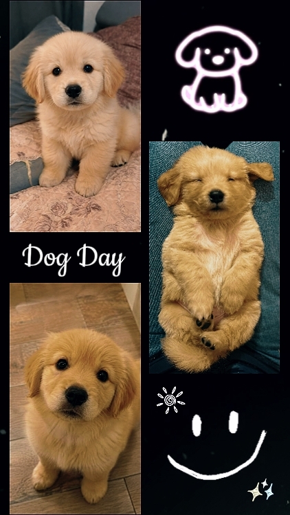 HAPPY DOG DAY