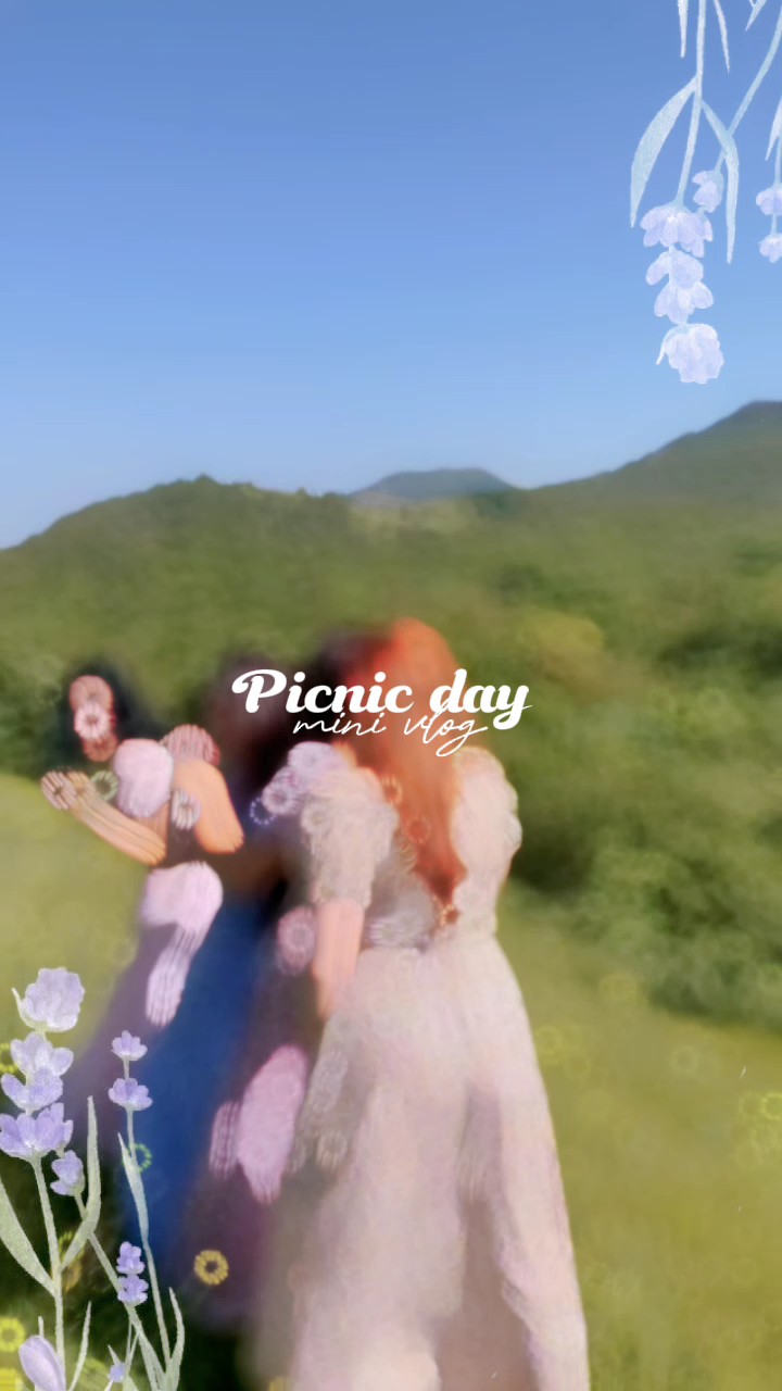 Dia de piquenique 