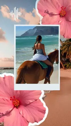 Summer vibes été