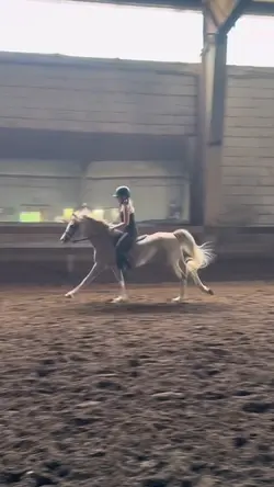 Bareback!