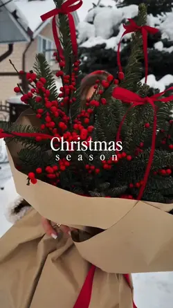 Christmas season