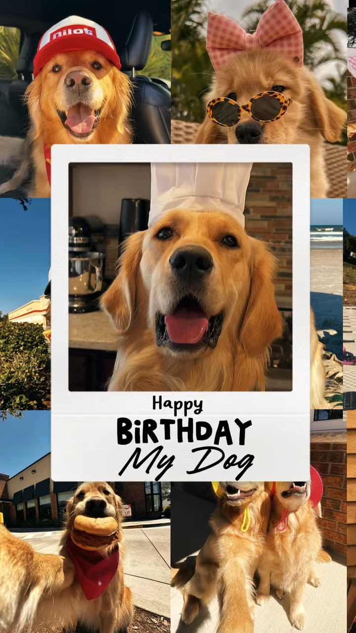 Happy birthday dog 