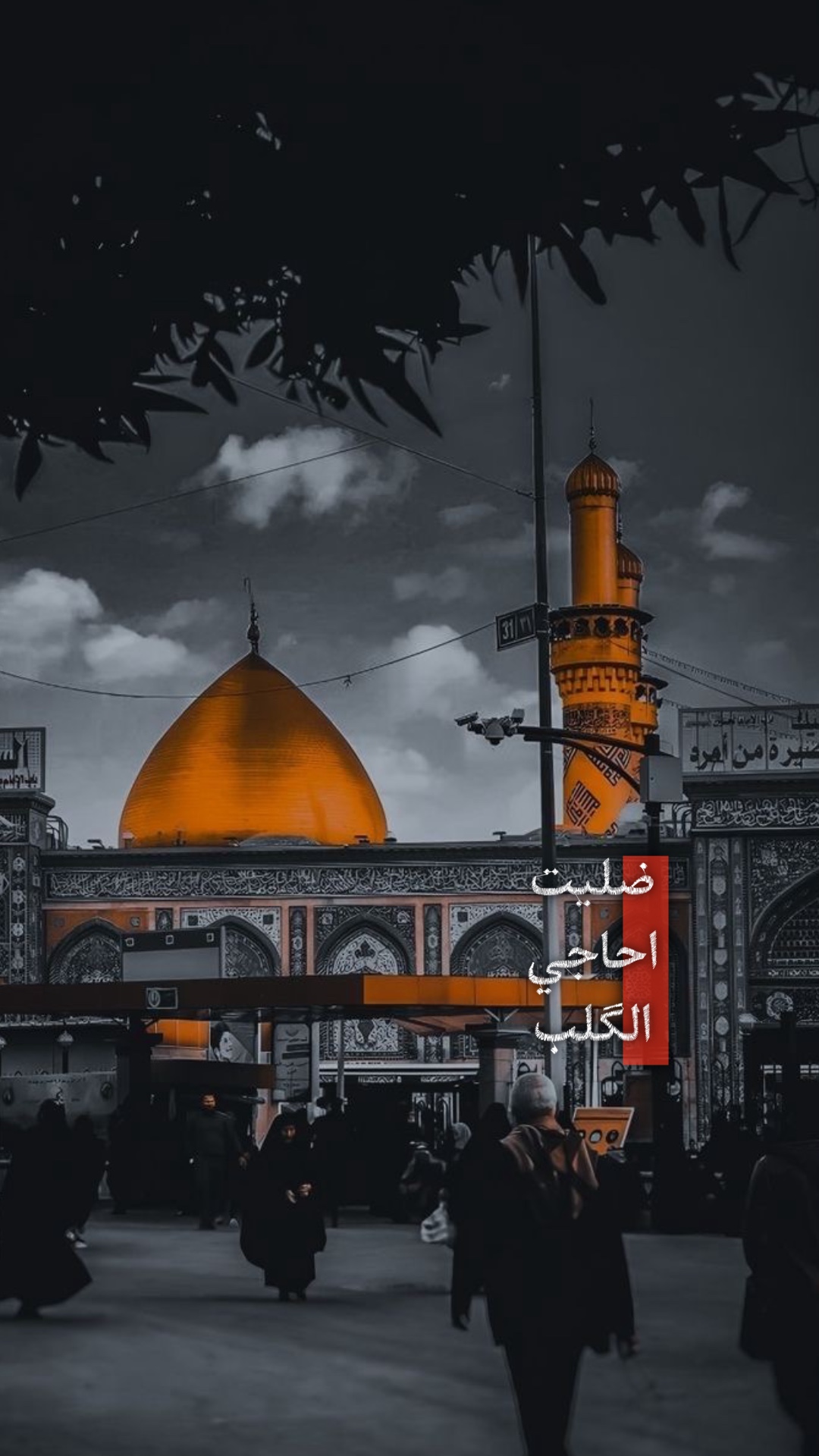 نامت عيون الخل❤️‍🩹