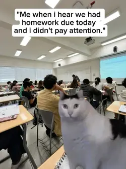homework meme