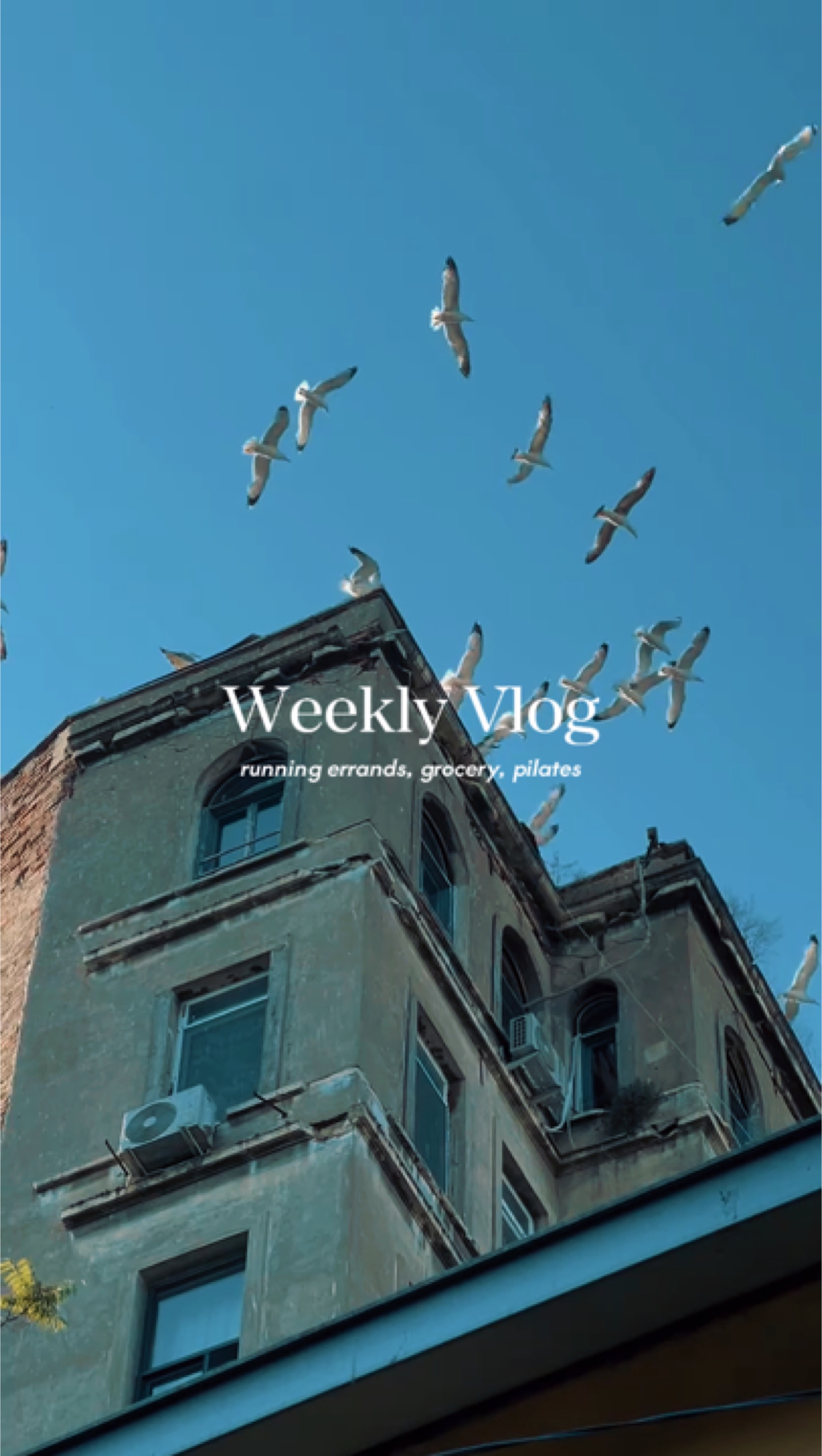 Weekend Vlog