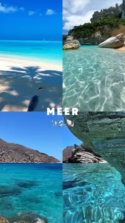 Meer ✨🌊🐚