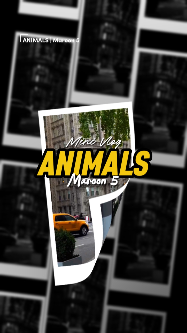 Mini Vlog Hayvanlar
