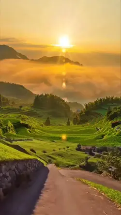 ทางสายเปลี่ยว