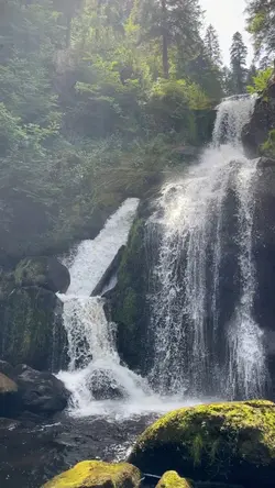 aesthetic