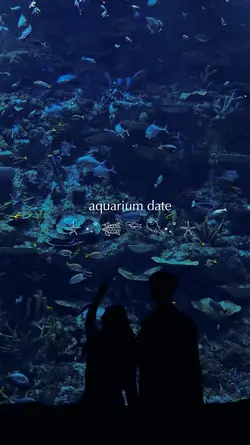 Vlog Aqurium Date