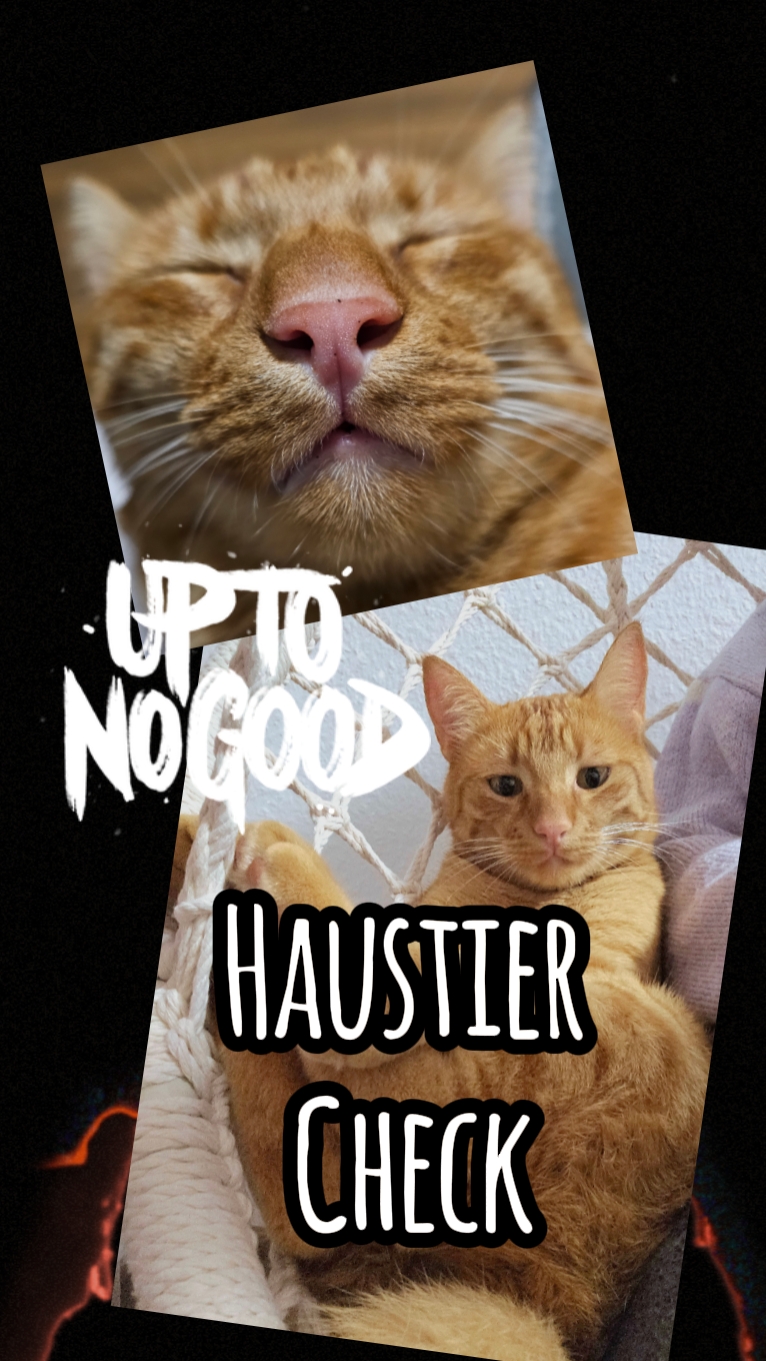Haustier check