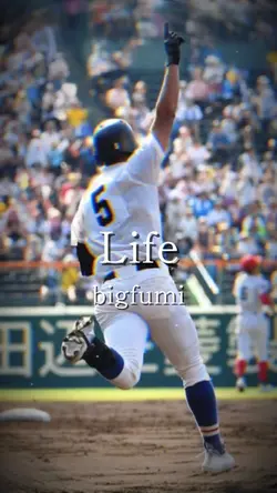 Life ／ bigfumi