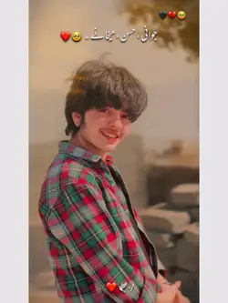 جوانی، حسن ،میخانے ۔