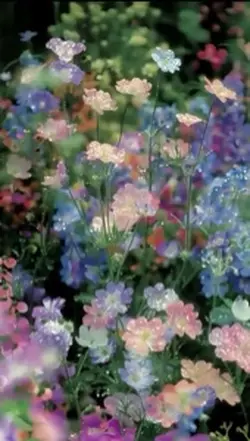 3D wallpaper