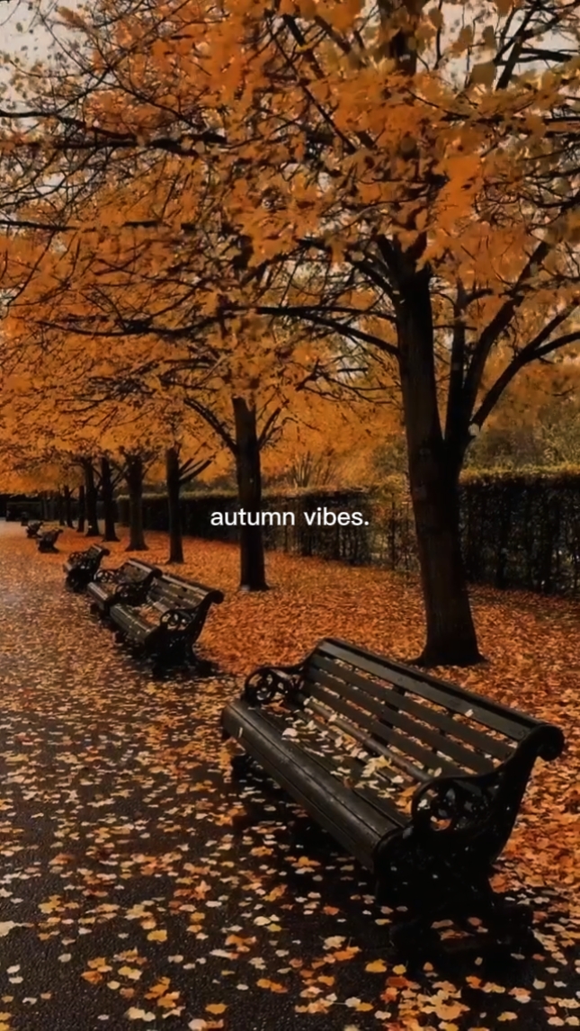 autumn vibes 