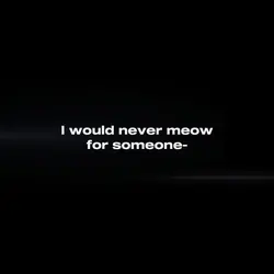would never meow