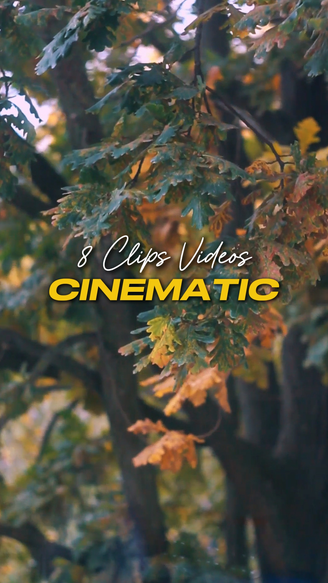 Cinematic 8 Videos