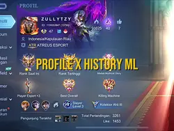 PROFILE X HISTORY ML