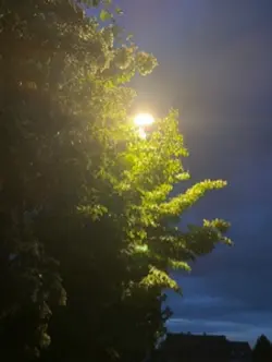 albo myślę o nim🤓💕