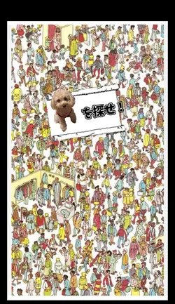 どこにいるかな⁉️背景削除出来ます